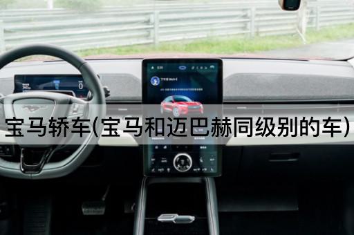 宝马轿车(宝马和迈巴赫同级别的车)