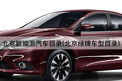*新能源汽车目录(*绿牌车型目录)