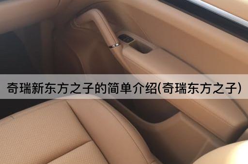 奇瑞新东方之子的简单介绍(奇瑞东方之子)