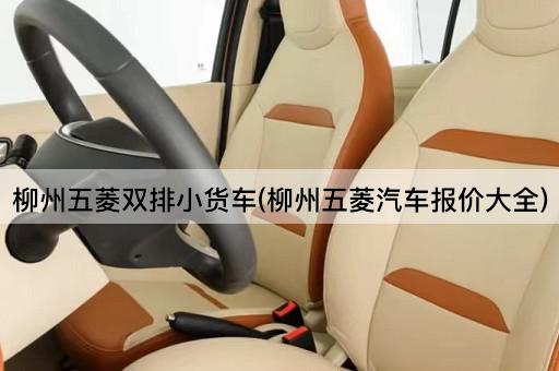 柳州五菱双排小货车(柳州五菱汽车报价大全)