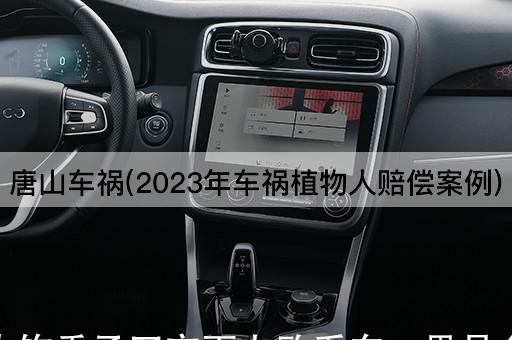 唐山车祸(2023年车祸植物人赔偿案例)