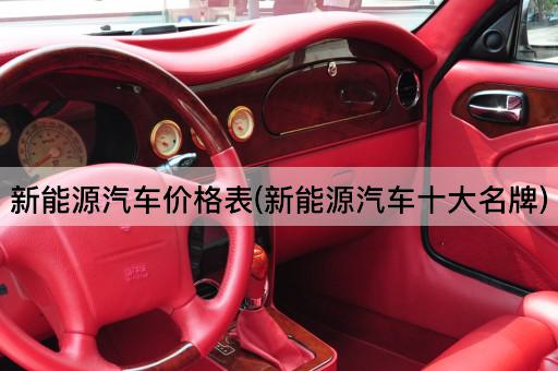 新能源汽车价格表(新能源汽车十大名牌)