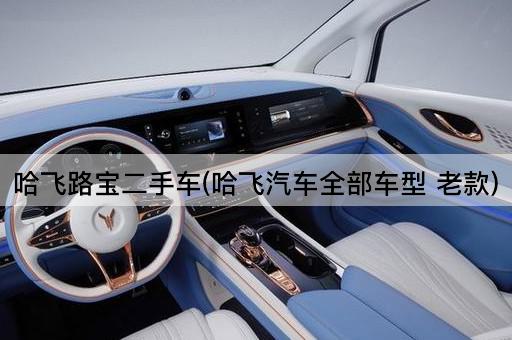 哈飞路宝二手车(哈飞汽车全部车型 老款)