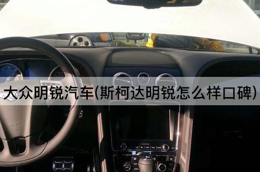 大众明锐汽车(斯柯达明锐怎么样口碑)