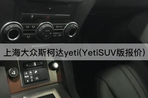 上海大众斯柯达yeti(YetiSUV版报价)
