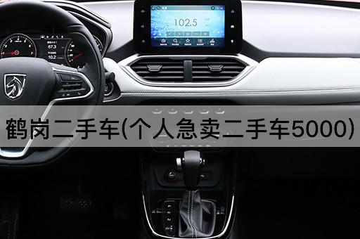 鹤岗二手车(个人急卖二手车5000)