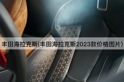 丰田海拉克斯(丰田海拉克斯2023款价格*)