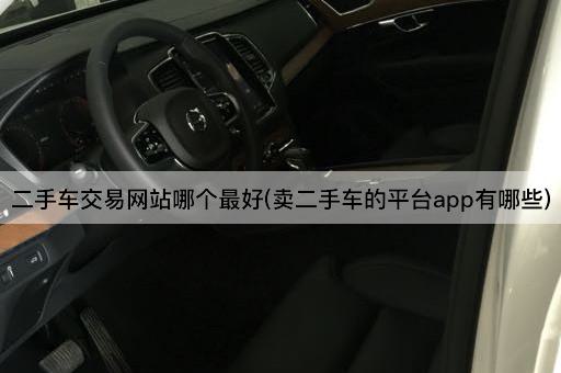 二手车交易网站哪个最好(卖二手车的平台app有哪些)