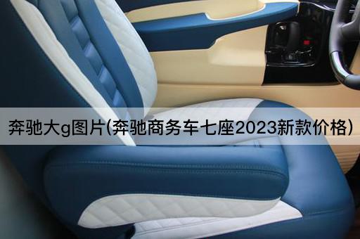 奔驰大g*(奔驰商务车七座2023新款价格)
