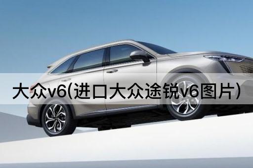大众v6(进口大众途锐v6*)