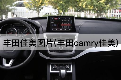 丰田佳美*(丰田camr*美)