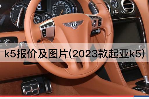 k5报价及*(2023款起亚k5)