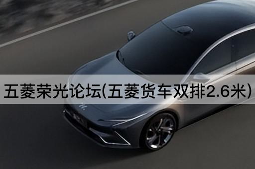 五菱荣光*(五菱货车双排2.6米)