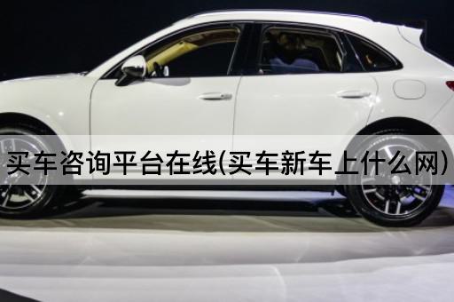 买车咨询平台*(买车新车上什么网)
