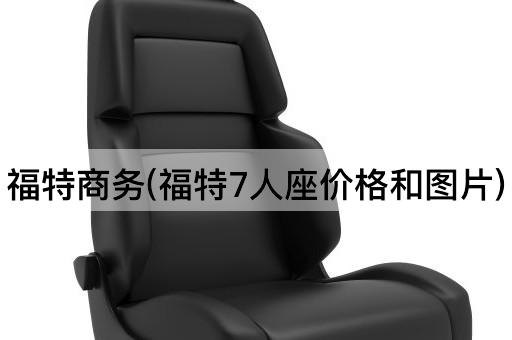 福特商务(福特7人座价格和图片)