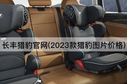 长丰猎豹官网(2023款猎豹图片价格)