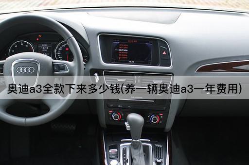 奥迪a3全款下来多少钱(养一辆奥迪a3一年费用)