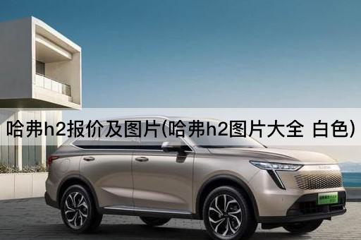 哈弗h2报价及图片(哈弗h2图片大全 白色)