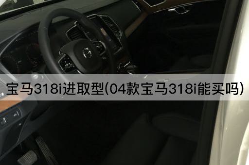 宝马318i进取型(04款宝马318i能买吗)
