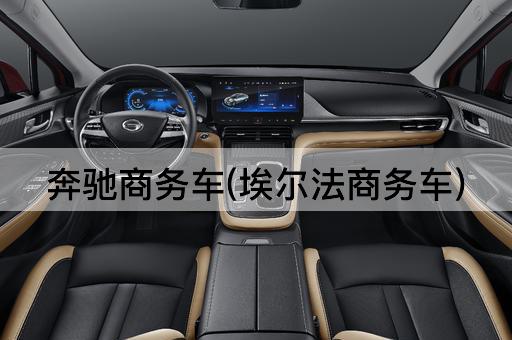 奔驰商务车(埃尔法商务车)