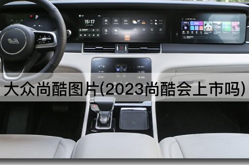 大众尚酷图片(2023尚酷会上市吗)