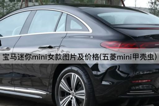 宝马迷你mini女款图片及价格(五菱mini甲壳虫)
