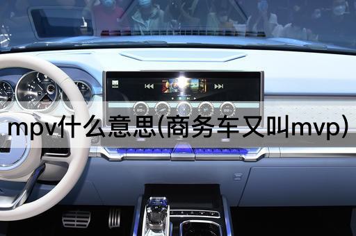 mpv什么意思(商务车又叫mvp)