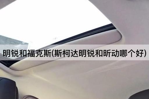 明锐和福克斯(斯柯达明锐和昕动哪个好)