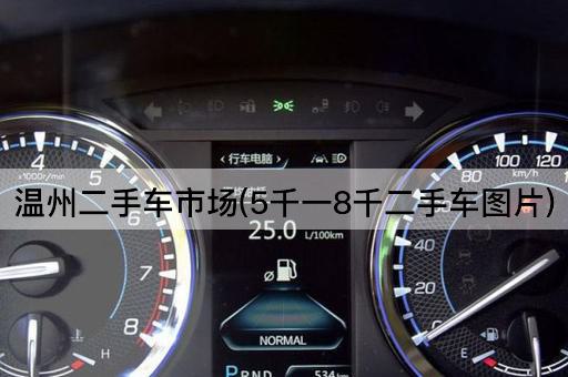 温州二手车市场(5千一8千二手车图片)