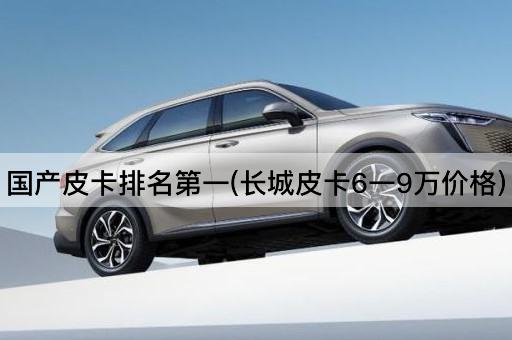 国产皮卡排名第一(长城皮卡6一9万价格)