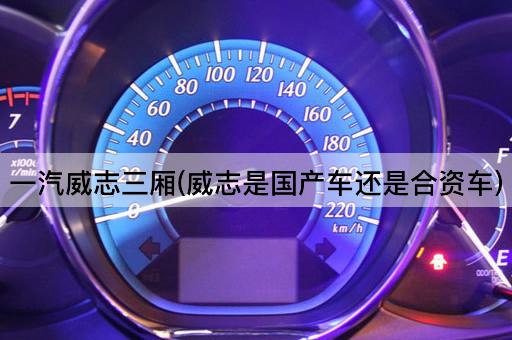 一汽威志三厢(威志是国产车还是合资车)