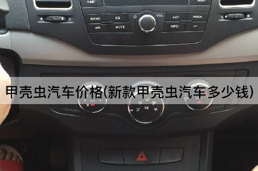 甲壳虫汽车价格(新款甲壳虫汽车多少钱)