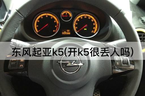 东风起亚k5(开k5很丢人吗)