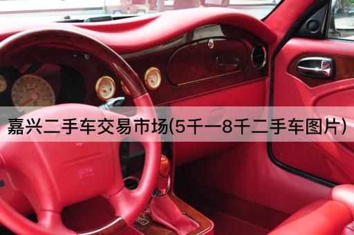 嘉兴二手车交易市场(5千一8千二手车图片)