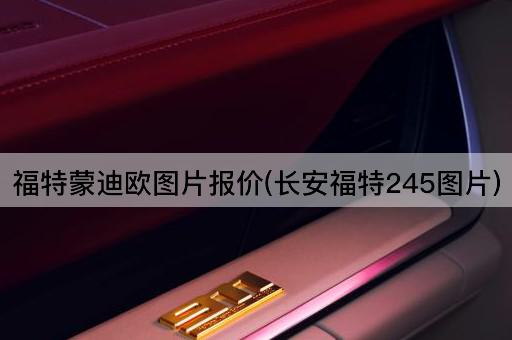 福特蒙迪欧图片报价(长安福特245图片)