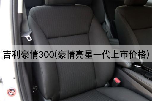 吉利豪情300(豪情亮星一代上市价格)