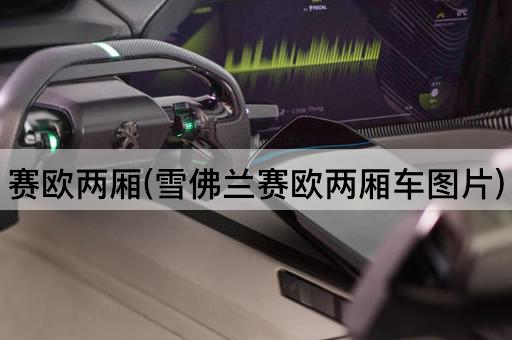 赛欧两厢(雪佛兰赛欧两厢车图片)