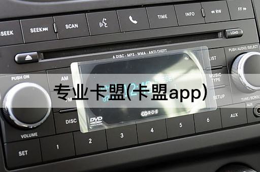 专业卡盟(卡盟app)