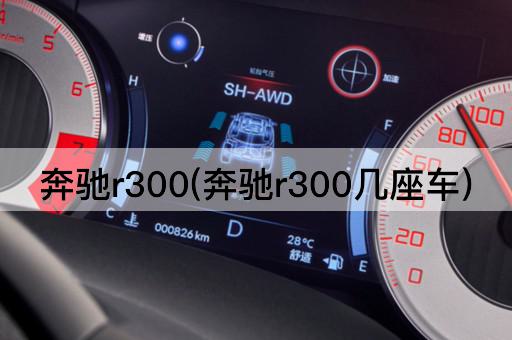 奔驰r300(奔驰r300几座车)