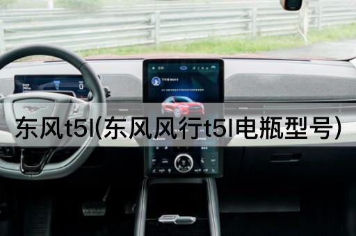 东风t5l(东风风行t5l电瓶型号)