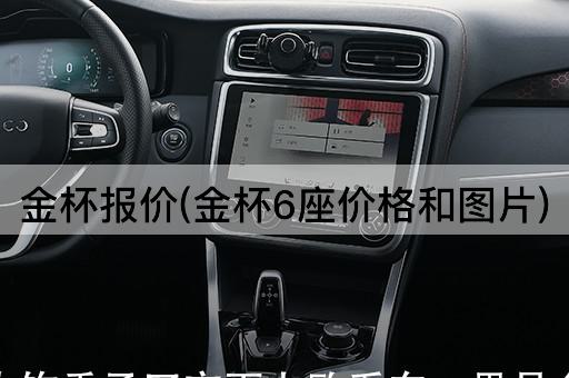 金杯报价(金杯6座价格和图片)