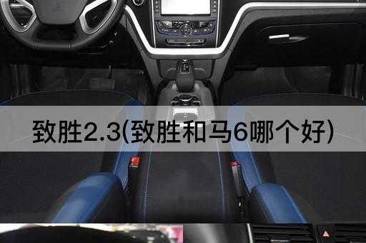 致胜2.3(致胜和马6哪个好)