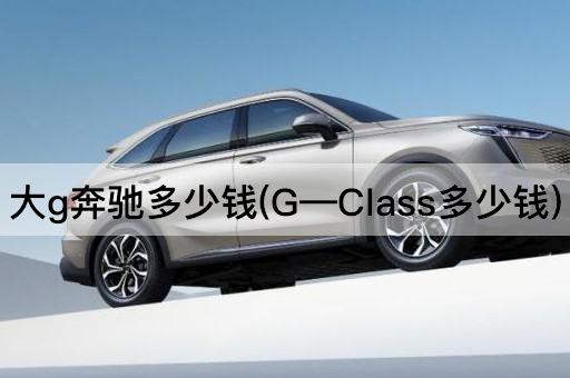 大g奔驰多少钱(G—Class多少钱)