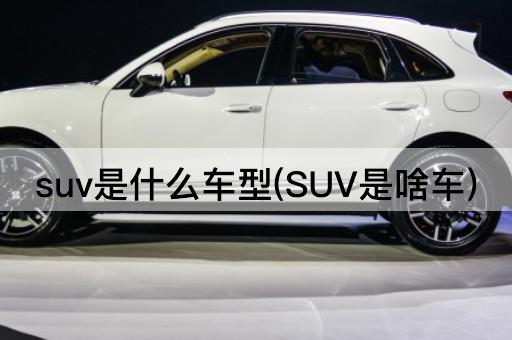 suv是什么车型(SUV是啥车)