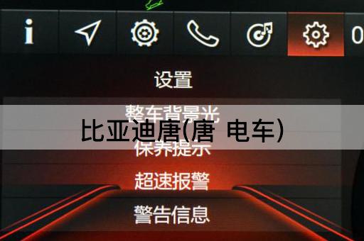 比亚迪唐(唐 电车)