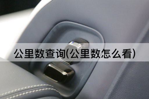公里数查询(公里数怎么看)