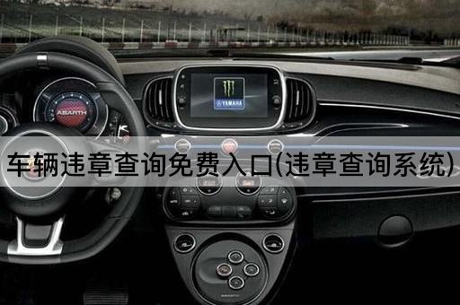 车辆违章查询免费入口(违章查询系统)