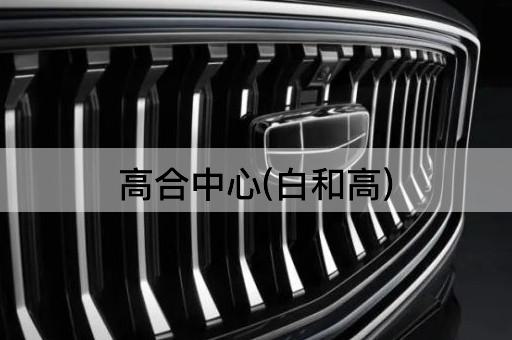 高合中心(白和高)