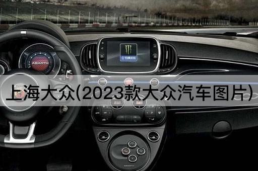 上海大众(2023款大众汽车图片)