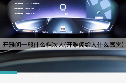 开雅阁一般什么档次人(开雅阁给人什么感觉)